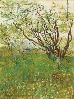 Vincent Van Gogh : Orchard in Blossom